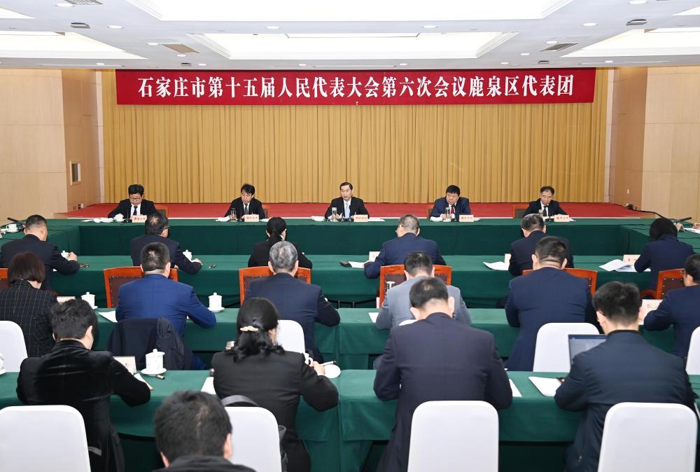 張超超參加市十五屆人大六次會議鹿泉區代表團審議